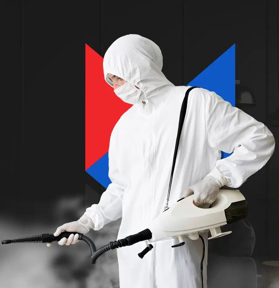 Специалист по сэс